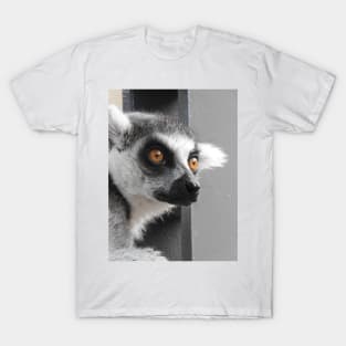 Ring Tailed Lemur T-Shirt